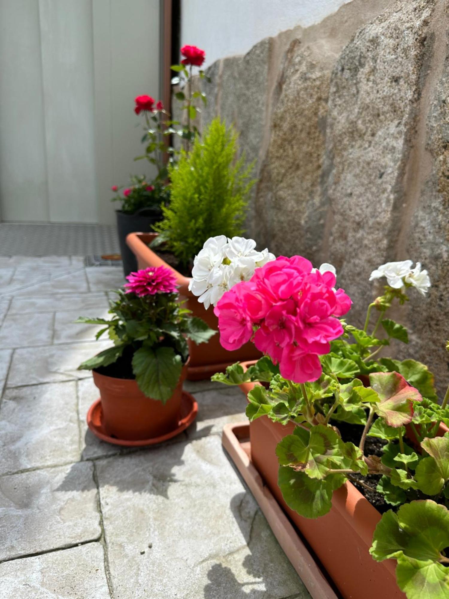 Casa La Oveja Negra, Con Piscina Βίλα Ουρένσε Εξωτερικό φωτογραφία
