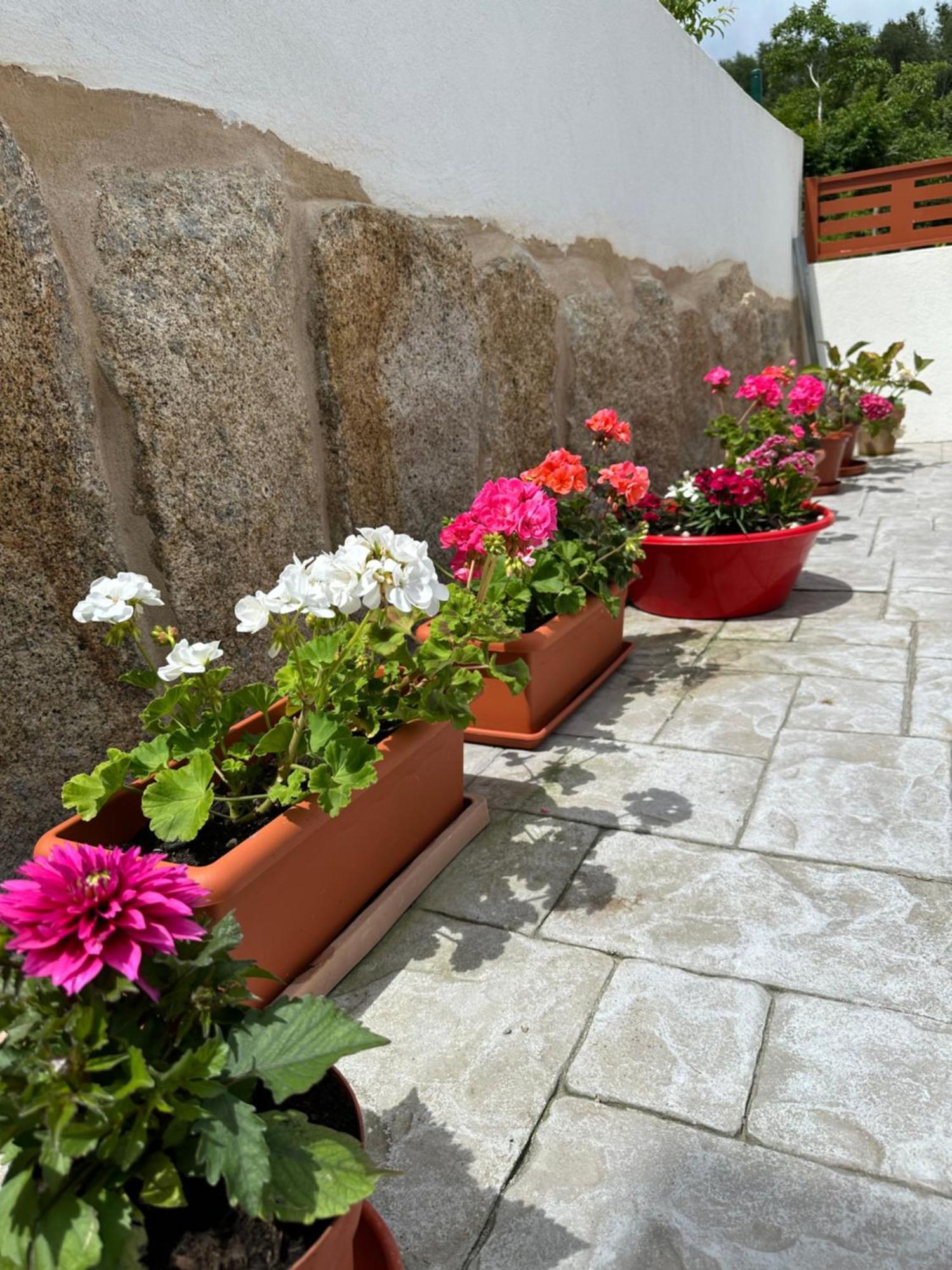 Casa La Oveja Negra, Con Piscina Βίλα Ουρένσε Εξωτερικό φωτογραφία